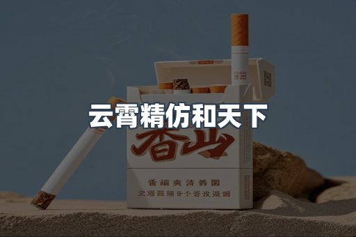 云霄精仿和天下